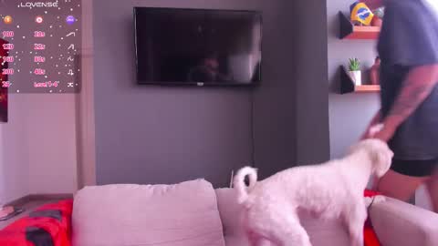 Snapshot of alexiacortez chatting on 8, 2, 2026 Alexia online show from 8, 2, 2026