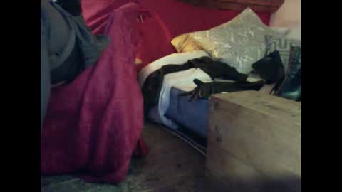 Snapshot of alexischat chatting on 25, 9, 2025 alexischat online show from 25, 9, 2025