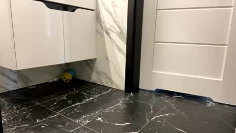 Alex online show from 28, 4, 2026