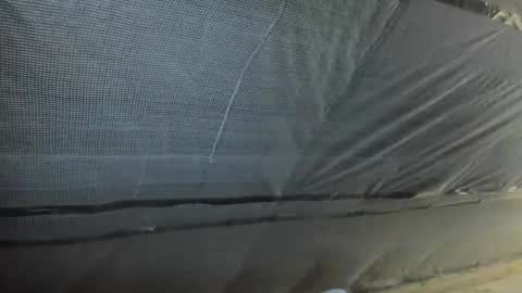 Snapshot of alfiesolomons87 chatting on 2, 10, 2025 alfiesolomons87 online show from 2, 10, 2025