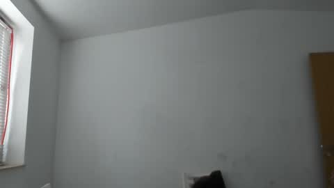 Snapshot of alfiesolomons87 chatting on 14, 11, 2025 alfiesolomons87 online show from 14, 11, 2025