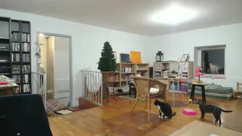 Snapshot of alice8363 chatting on 6, 12, 2024 Alice online show from 6, 12, 2024