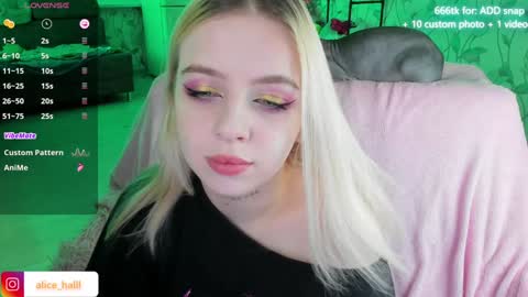 Snapshot of alice_halle chatting on 13, 12, 2024 alice_halle online show from 13, 12, 2024