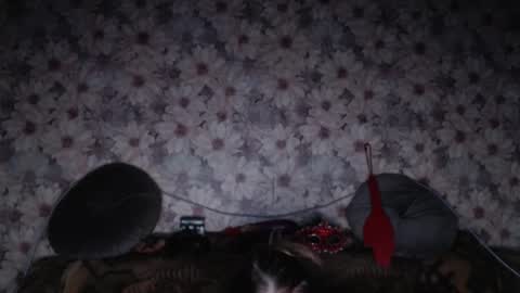 alice longstocking online show from 7, 2, 2026