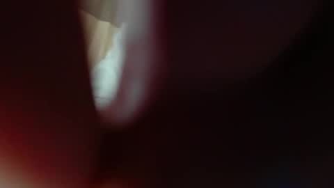 bigclit daddy squirt bigdildo fit online show from 8, 11, 2025