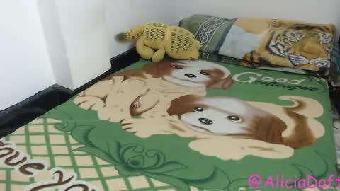 Alicia Aldara online show from 9, 4, 2026