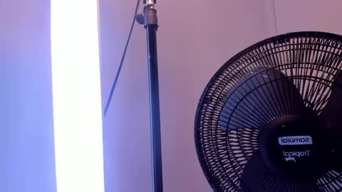 Alicia online show from 8, 3, 2026