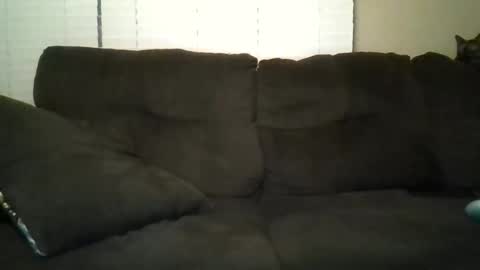 aliendick2274 online show from 24, 2, 2026