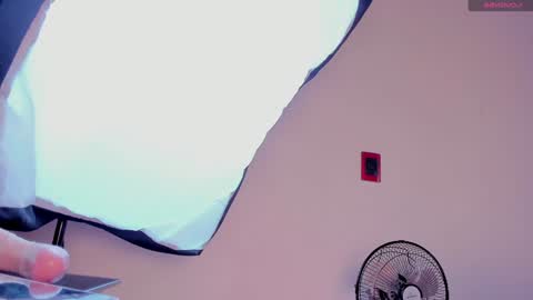 Snapshot of aliice_smithh chatting on 20, 12, 2024 Alice online show from 20, 12, 2024