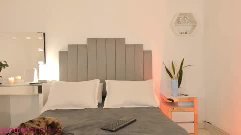 ALIS online show from 6, 1, 2026