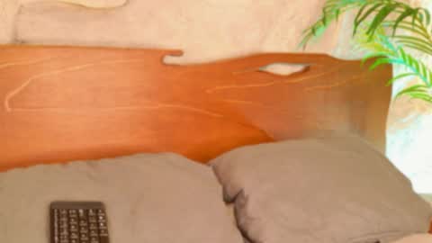 Alison Moon  online show from 25, 4, 2026