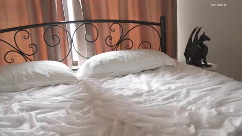 Alissa online show from 19, 2, 2025