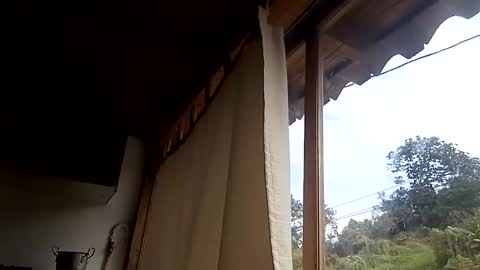 Snapshot of alisson369_ chatting on 13, 2, 2025 Alisson369 online show from 13, 2, 2025