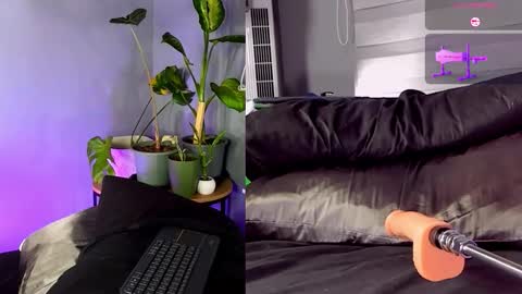 Snapshot of alisson_clare chatting on 19, 12, 2025 A L I S S O N online show from 19, 12, 2025