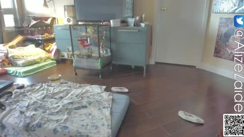 Alize Zaide online show from 10, 1, 2025