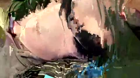 all_m3 online show from 16, 1, 2026