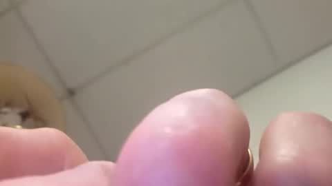 alldickandass11 online show from 14, 2, 2026