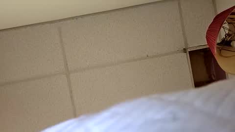 alldickandass11 online show from 24, 2, 2026