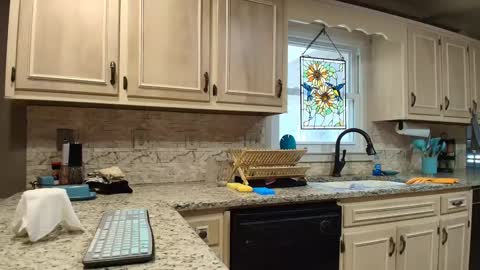 wishlist on bio online show from 24, 9, 2025