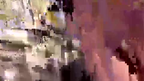 alliebearx online show from 26, 9, 2025