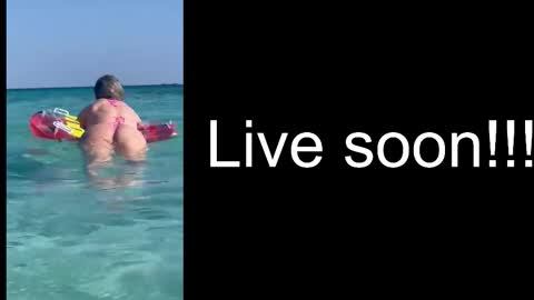 Allie online show from 17, 12, 2025