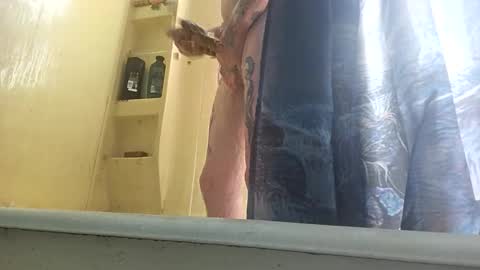 Snapshot of allwolf0323 chatting on 30, 9, 2025 allwolf0323 online show from 30, 9, 2025