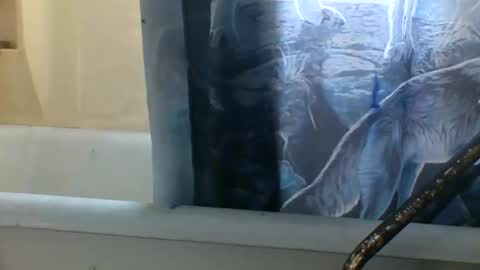 Snapshot of allwolf0323 chatting on 6, 11, 2025 allwolf0323 online show from 6, 11, 2025