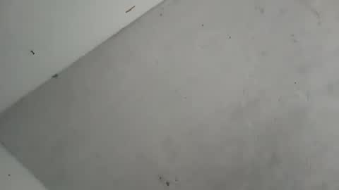 Contreras online show from 7, 10, 2025