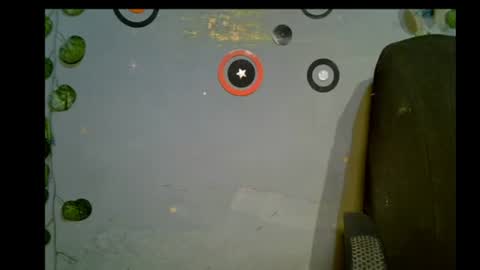 Snapshot of alosexy_bae chatting on 13, 6, 2026 alo online show from 13, 6, 2026