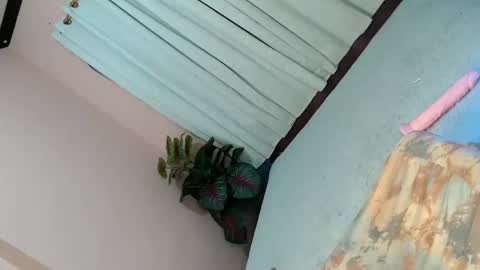 Snapshot of alove_too_last chatting on 2, 2, 2025 LEXY online show from 2, 2, 2025