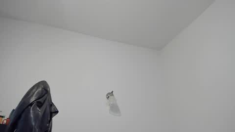 LeatherMaster online show from 24, 12, 2024