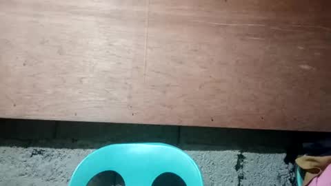 Snapshot of altheahot_asian chatting on 19, 12, 2024 altheahot_asian online show from 19, 12, 2024