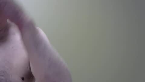 altoplay69 online show from 8, 6, 2026