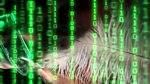 Alvuwka online show from 19, 12, 2025