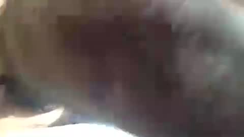 amandapanda1 online show from 19, 7, 2026
