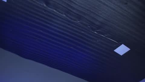 Emily online show from 14, 1, 2025