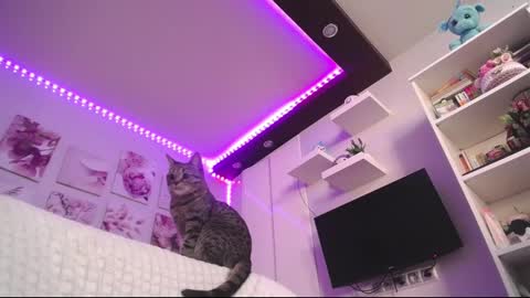 amazing_agness online show from 23, 2, 2025