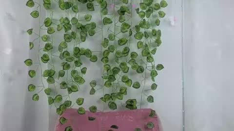 Amber  online show from 24, 4, 2026