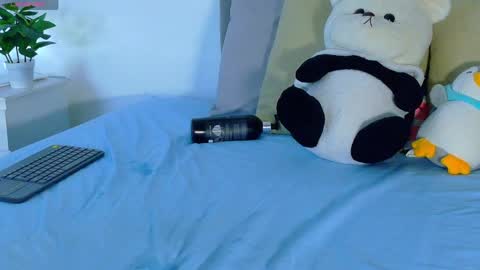 amber_bull online show from 29, 4, 2026