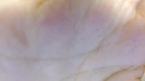 amelia_fry online show from 5, 3, 2025