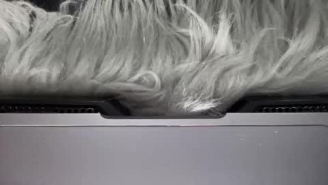 Snapshot of amelia_jones69x chatting on 15, 3, 2026 Amelia online show from 15, 3, 2026