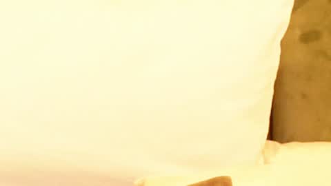 Amelia online show from 9, 1, 2025