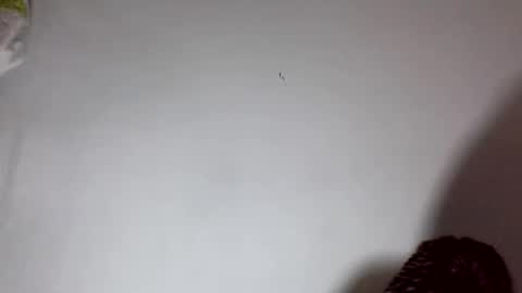 amelisy20005 online show from 22, 2, 2026