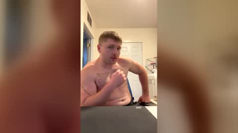 americanstalion online show from 19, 5, 2026
