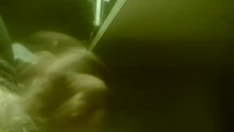 amolafica12 online show from 20, 11, 2025