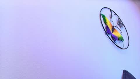 amy__wats0n online show from 2, 3, 2026