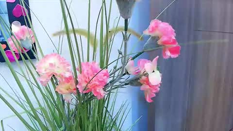 amy__wats0n online show from 17, 3, 2026