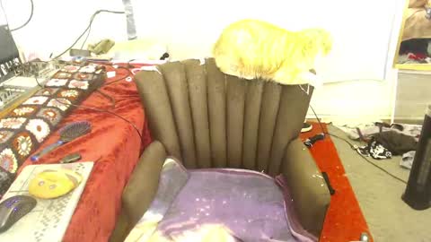 Trashely Gimpson online show from 14, 4, 2026