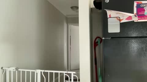 Snapshot of amysmilez chatting on 17, 12, 2025 Amy Smilez online show from 17, 12, 2025