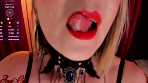 Ana online show from 24, 4, 2026